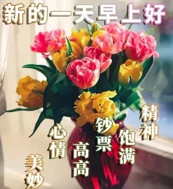 早晨安好:一声早安,愿好友开心一整天,幸福每一天,早晨好