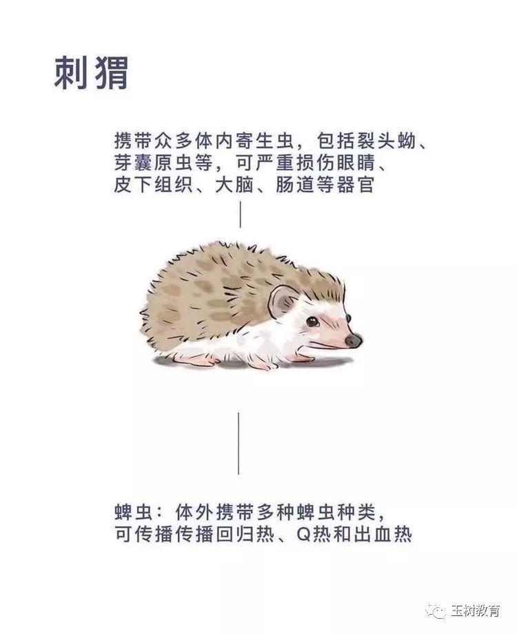 1c34912b625f47de8d8f8c074f67f9de.jpeg