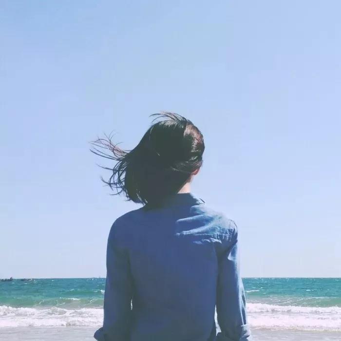 沙漠一只雕 13. 派大星的海洋裤 14. 钢铁大侠