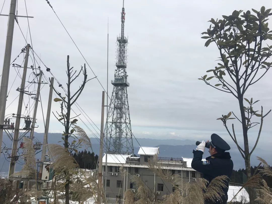 什么翠叠成语_成语红飞翠舞图片(2)