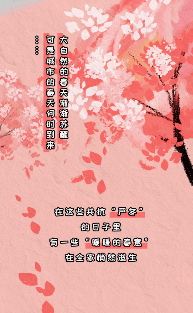 640_1036 竖版 竖屏