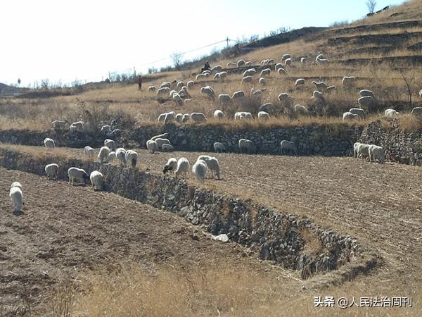 曲阳西泉头村人口有多少_曲阳北赤岸村景区