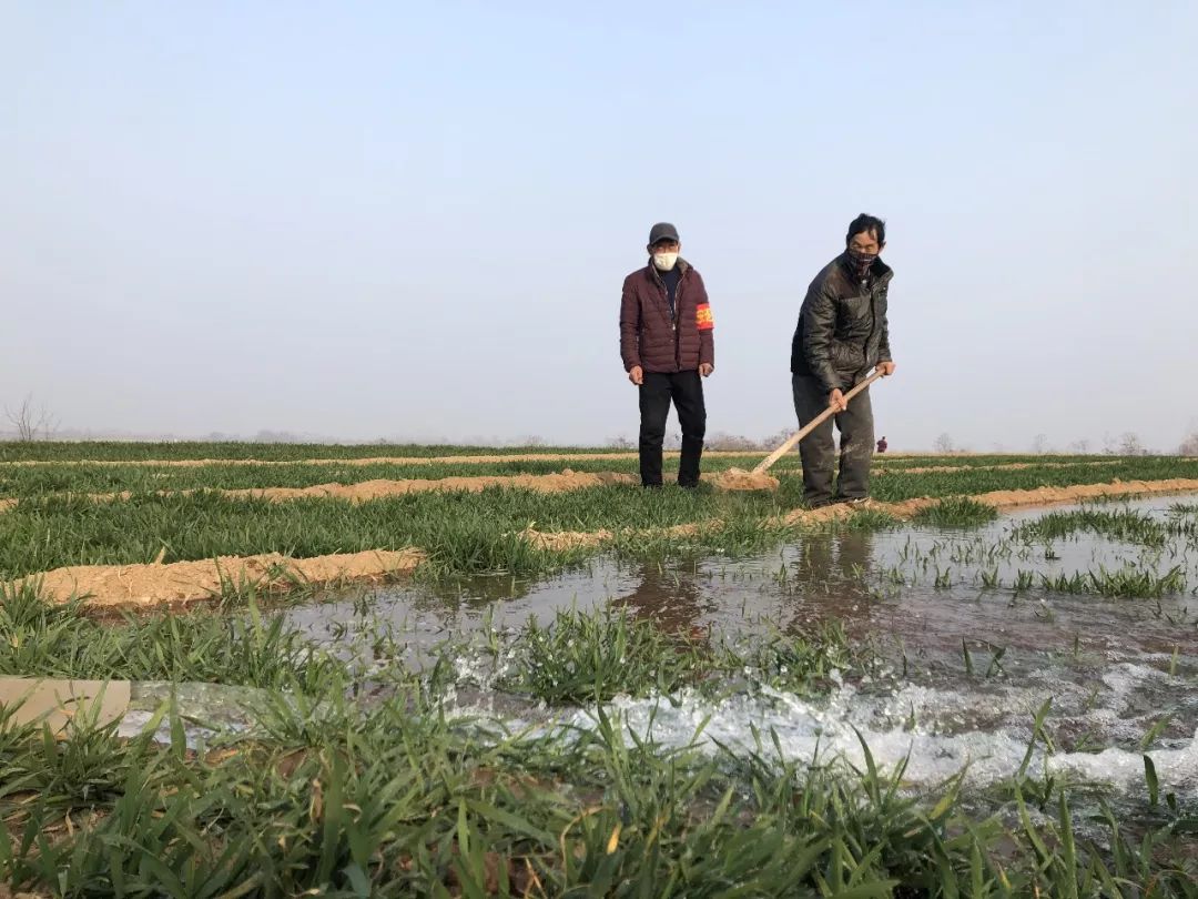 孟州市有多少人口_孟州非物质文化遗产项目都有哪些 孟州人你又知道多少呢