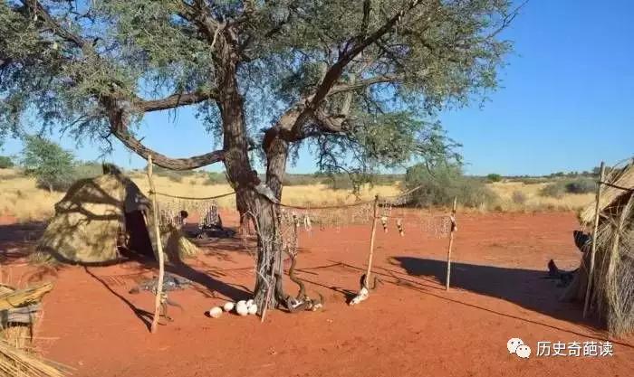 南非:一个国家通常只有一个首都,南非为什么却