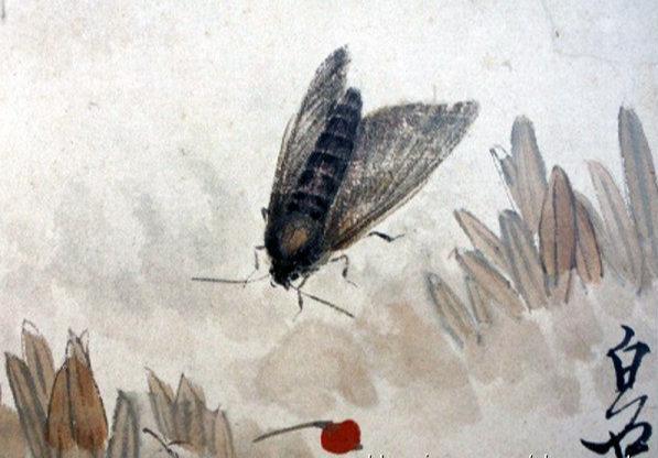 国画图片齐白石 5ab78d0d2cce4fdeba69d1f93b11459f.jpeg