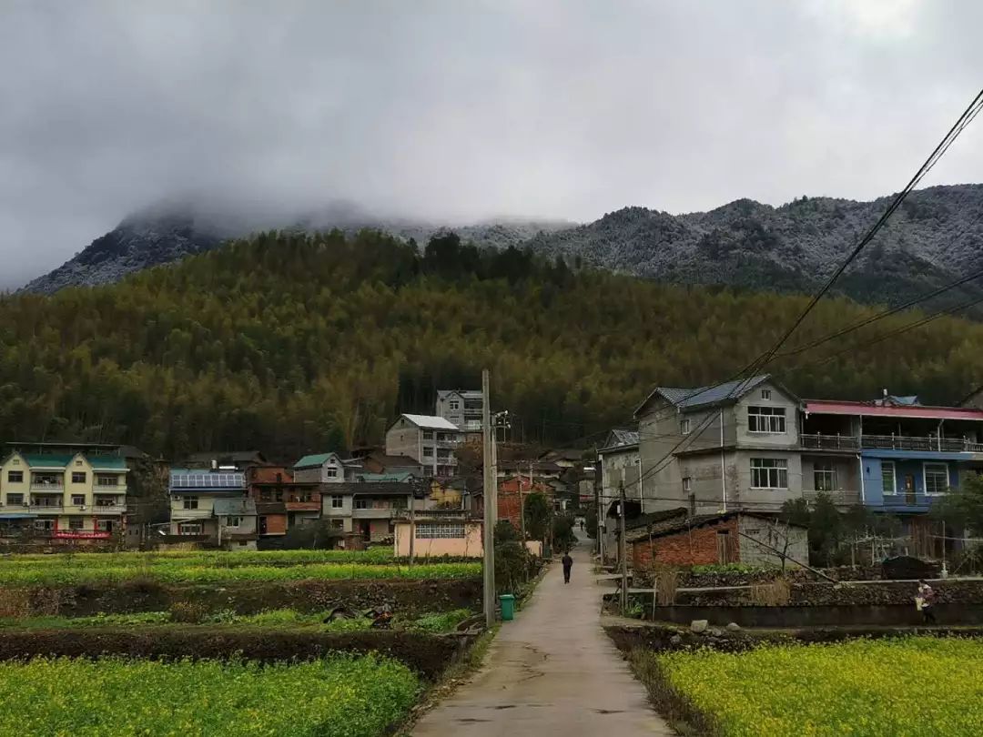 浦城县乡镇人口_浦城县地图(2)