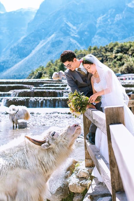 高冷风婚纱照_动漫头像女高冷风(2)