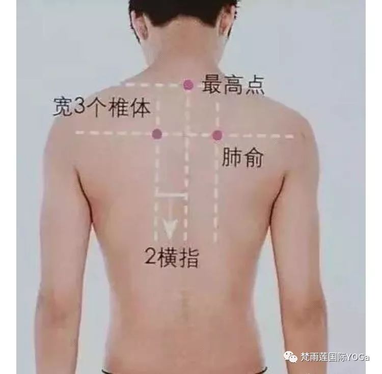 怎么养肺最简单的方法 c8a3515c5c034a24824b32141c201ead.jpeg