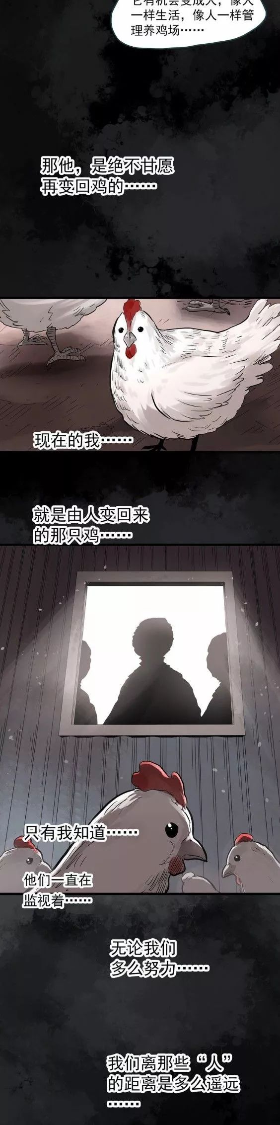 曾经做过人的鸡 l 惊悚