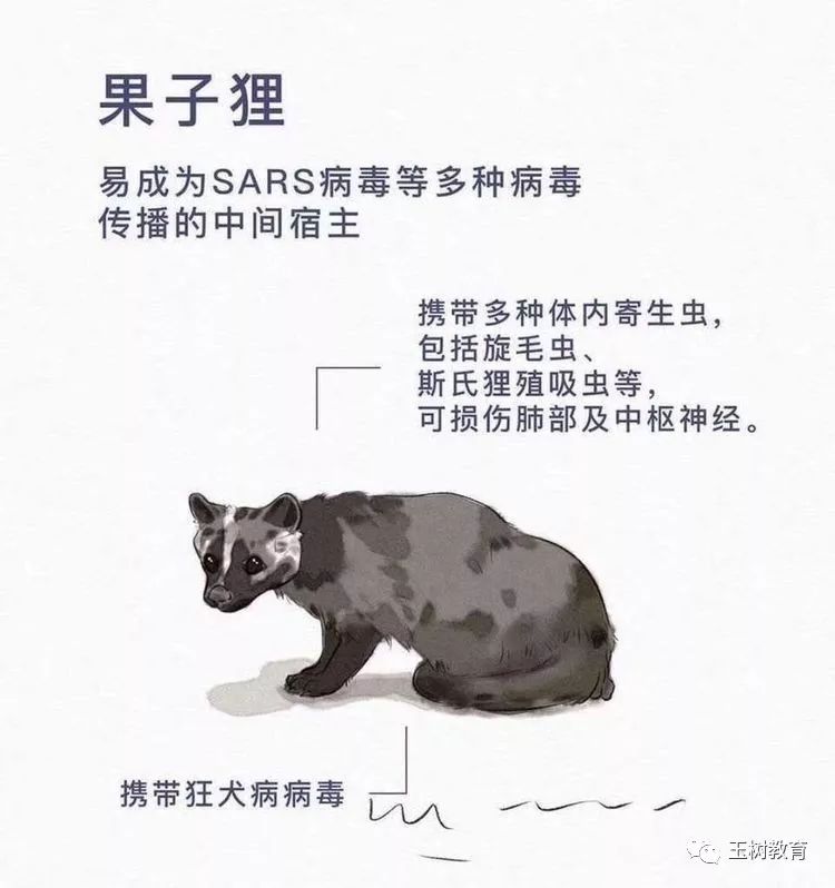 d9d5090616e74c0aa6cd76aac2bd2dc3.jpeg