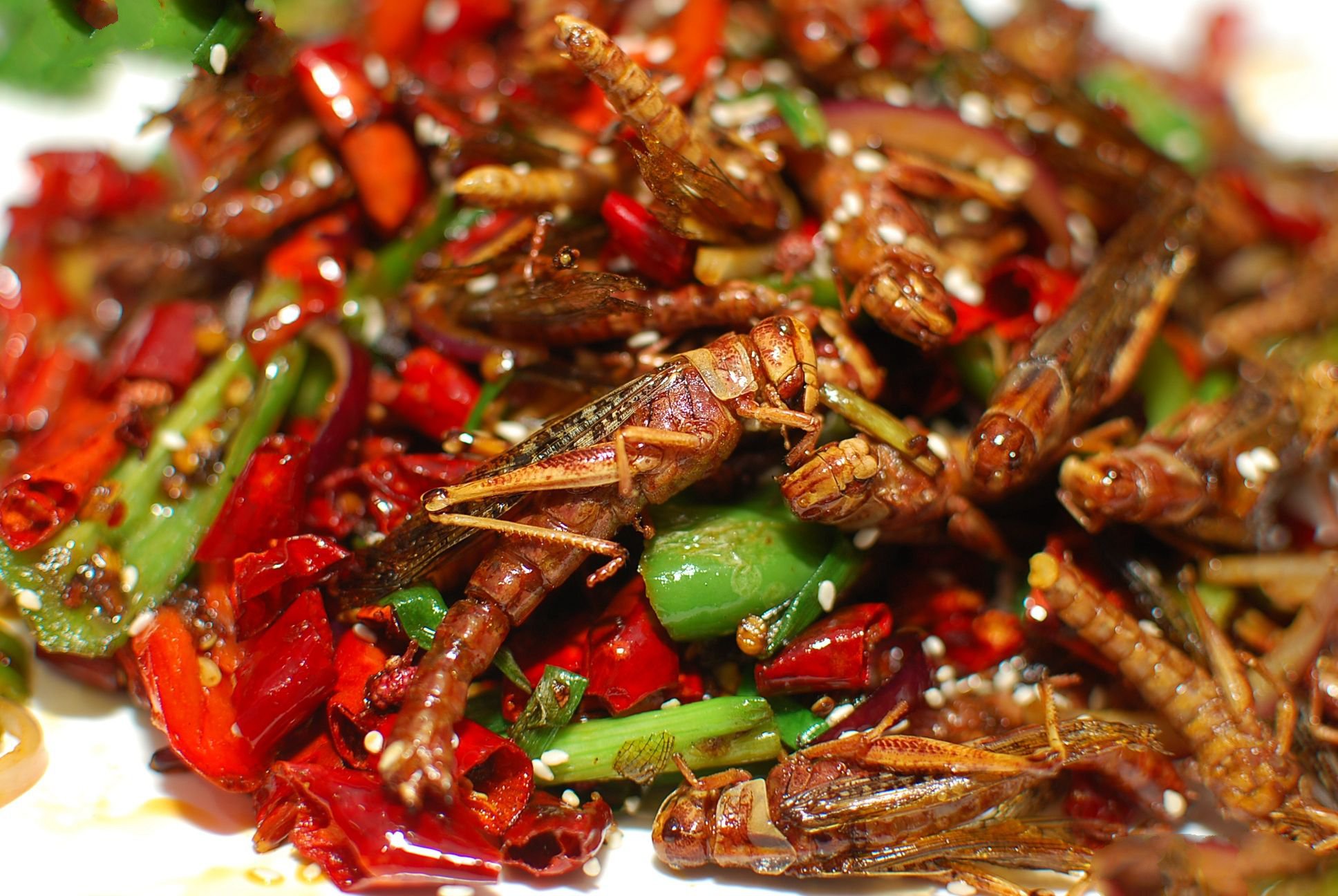 十分好吃,味道很香脆,现在在中国,油炸蚂蚱成为不可或缺的美食,吃一口