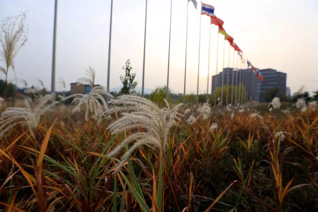 青岛2020个区市gdp_青岛地铁线路图2020年