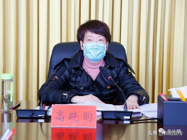 高晓昀主持召开2020年项目谋划申报工作专题会,安排部署相关工作!