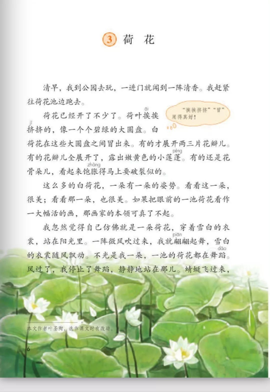 跟酸石榴叔叔朗读课文《荷花》|部编版小学语文三年级