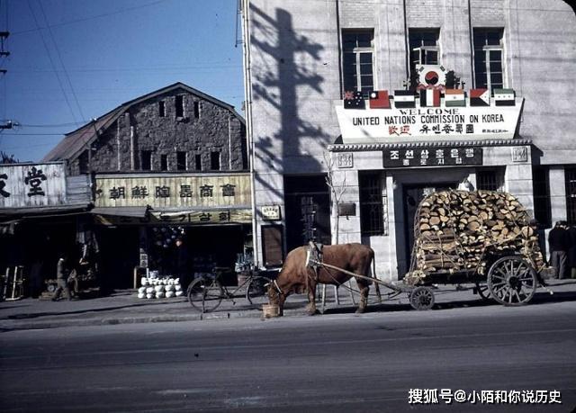 首尔人口外籍_韩国首尔人口