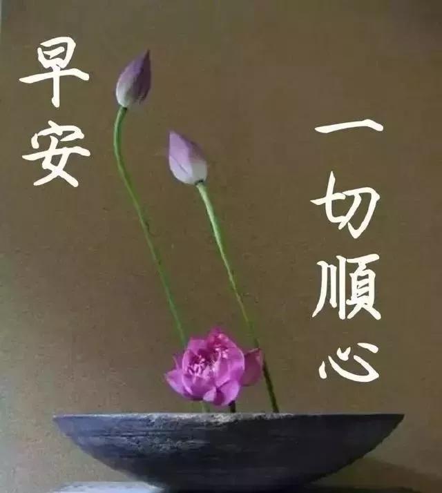 岁月在变,问候不变;距离在变,友情不变,早安,朋友