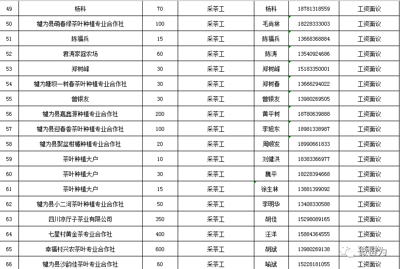 犍为招聘信息_犍为县人民政府,犍为信息 春季招聘会 1126人达成用工意向