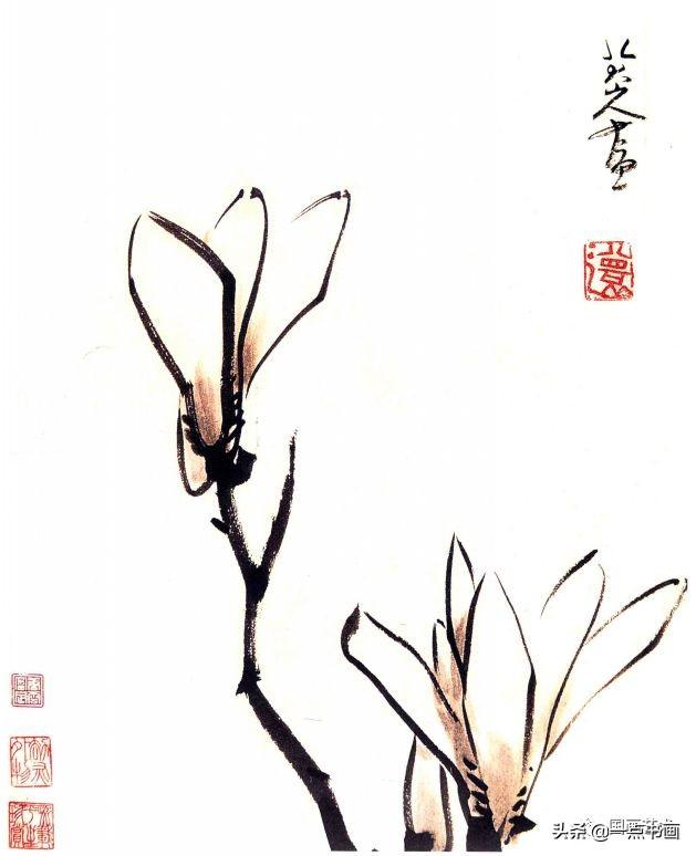 好花须向画里看,古今名家画玉兰
