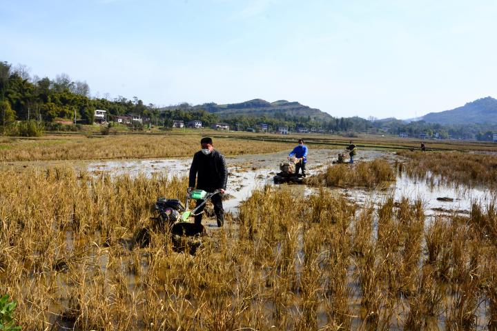 抗疫时期别样春耕图