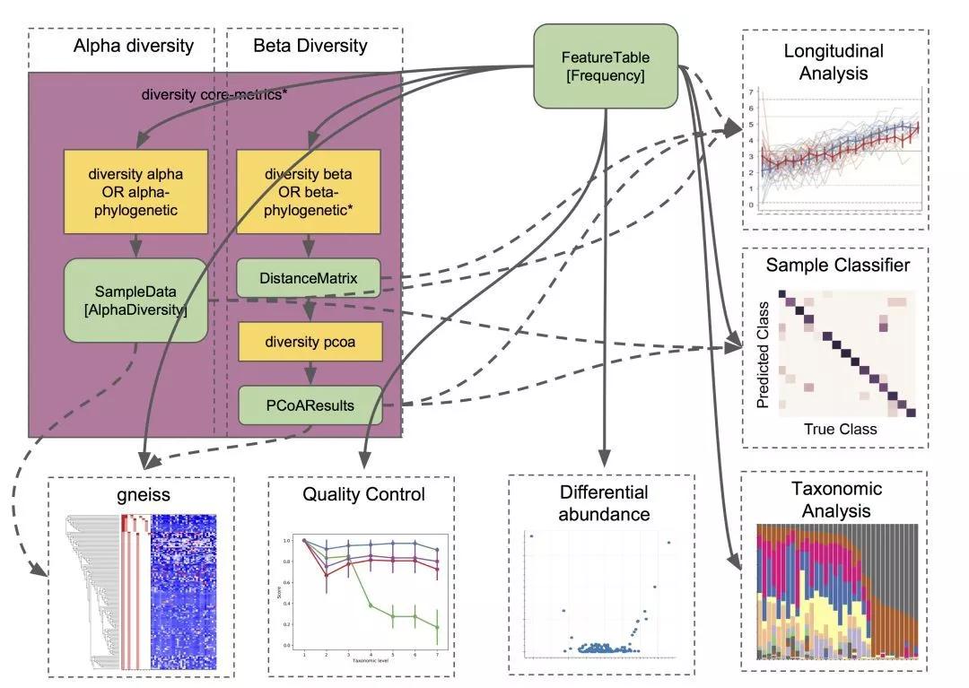 QIIME 2：微生物组大数据挖掘的终极神器！_分析