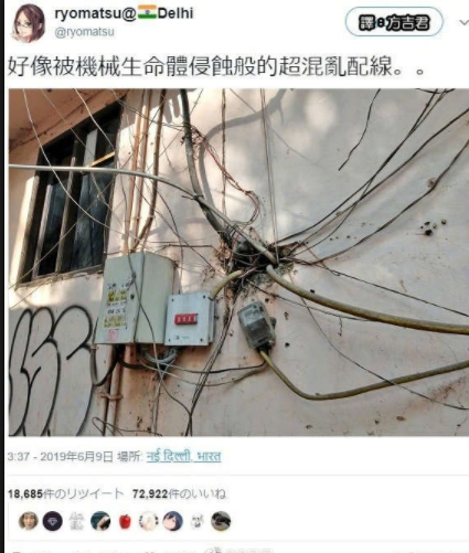 爆笑动图动图：说了你们不信，回家路上捡到一头猪