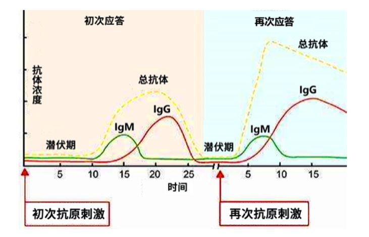 细胞中的GDP是怎样产生的_工作细胞血小板图片(2)