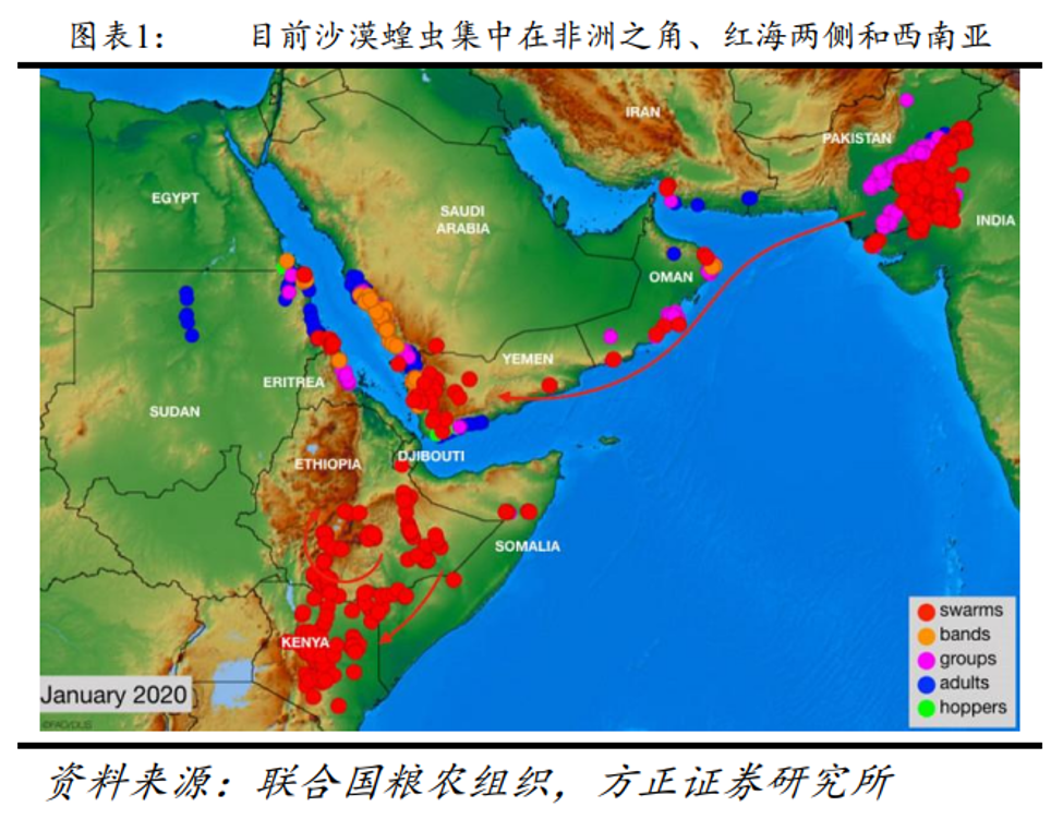 若我国人口_我国人口老龄化图片(2)