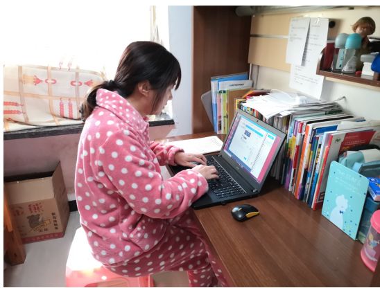 【停课不停学作文,疫情停课不停学总结】