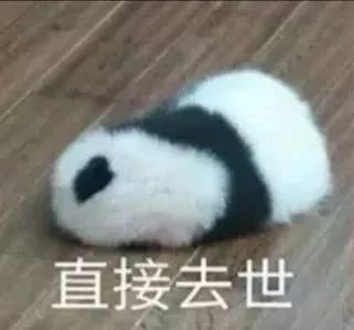 3c5975a82e394d03b0b8e5436112914d.jpeg