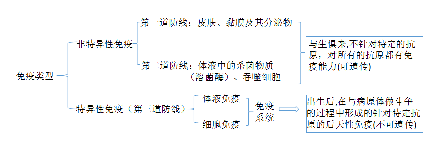 2020赣州教师招聘生物认清自我与非我的之免疫