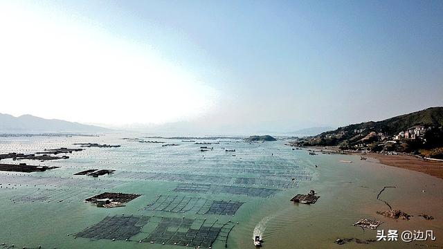 霞浦东安岛跟关门有多少人口_上海浦东机场图片