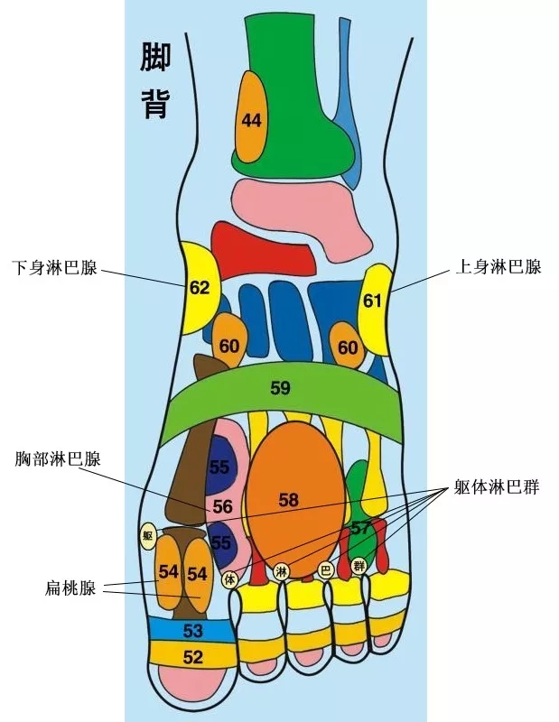 中医反射疗法应对新冠肺炎的家庭自我预防与保健方法!