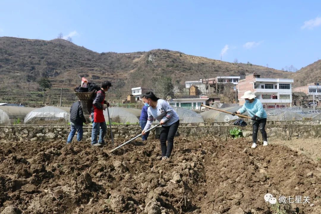 毕节大新桥街道人口_新桥街道牛山实验小学(3)