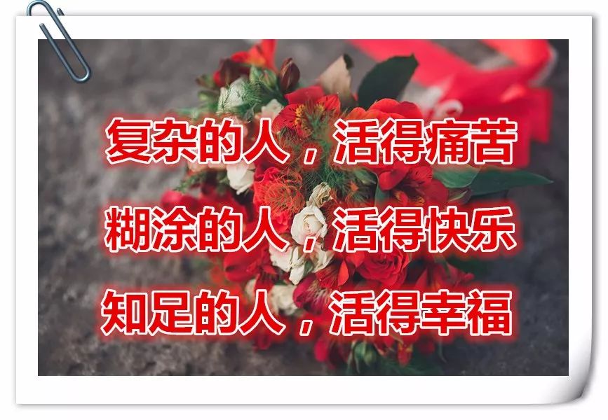 67204ede2a504b91ad0751a66c2dc16a.jpeg
