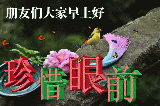 2月最新最漂亮的早安动图各种早安表情动态图片