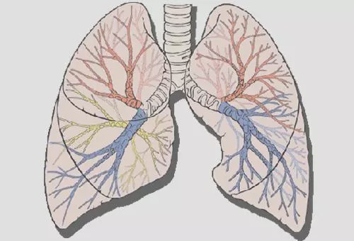 肺部异常的人,通常常做四件事,若占上一个,建议去做肺ct!