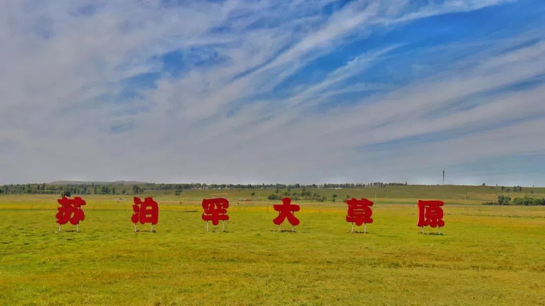 鄂尔多斯苏泊罕大草原为每一位抗疫天使准备的一份礼物