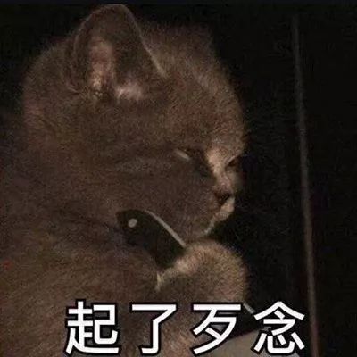 表情包怎么肥事