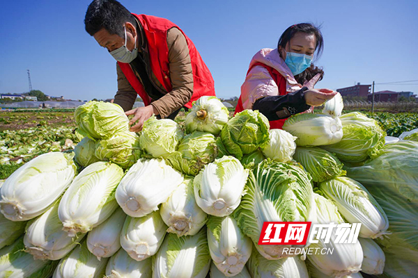 衡阳石鼓区人口信息中心_衡阳石鼓区未来规划图