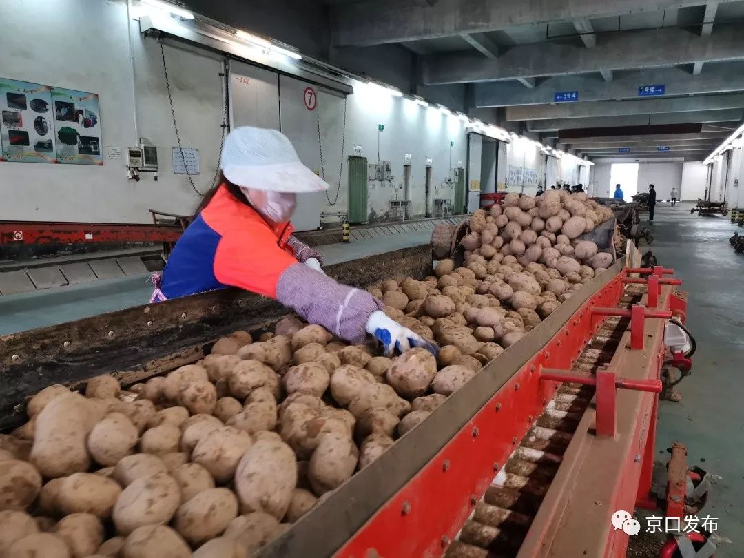 京口gdp_京口经济稳中有进超额完成 双过半(3)