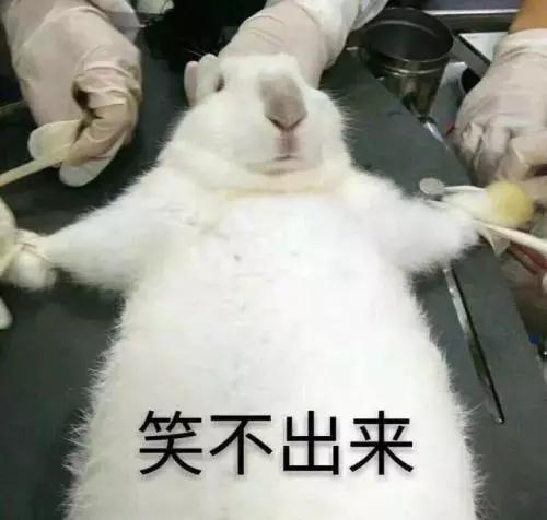 a8450af6034c4bcf9221270d08f21866.jpeg