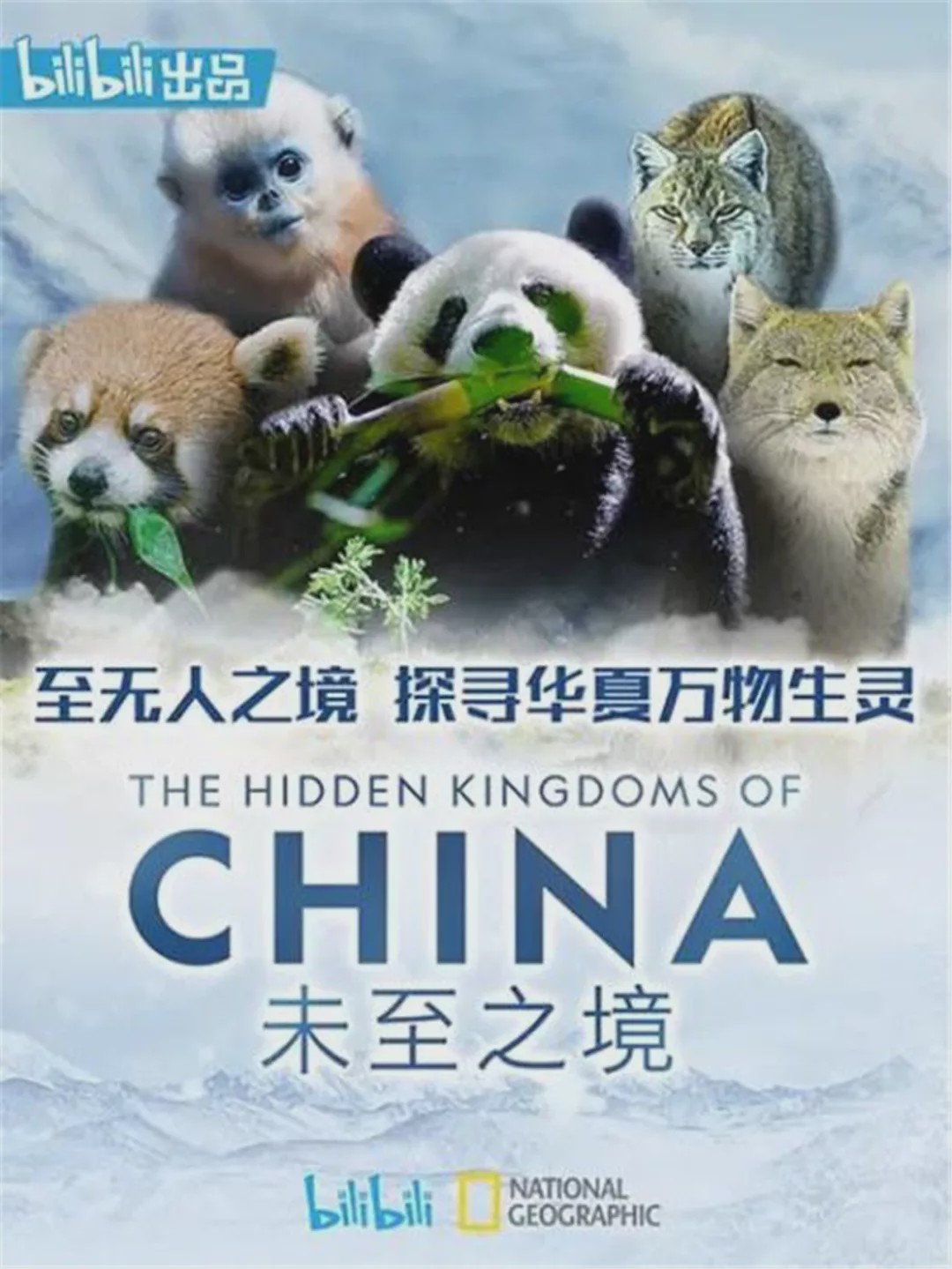 用7部高分动物纪录片教会孩子敬畏和爱护大自然