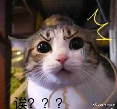 “太难了，查太严了……” 男子潜逃20年，在福