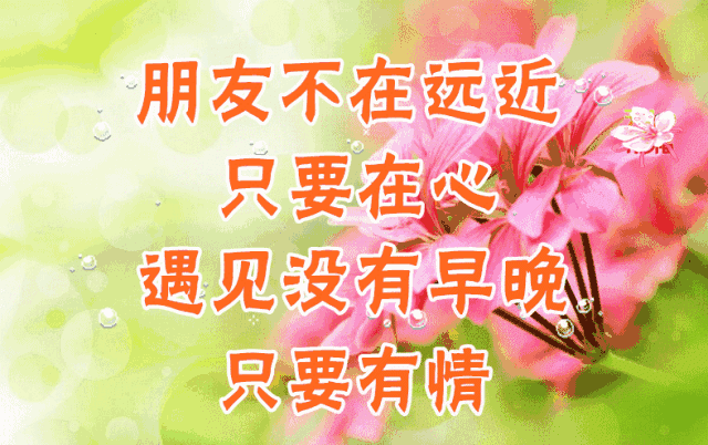 周二早上好祝朋友心情愉快笑容甜美健康生活永不变