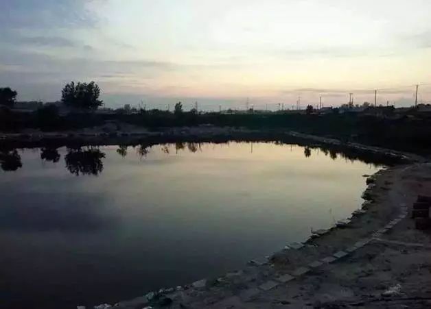 什么是黑坑大炮塘 c072a21ba2b54e5aa5ce38f35e907916.jpeg