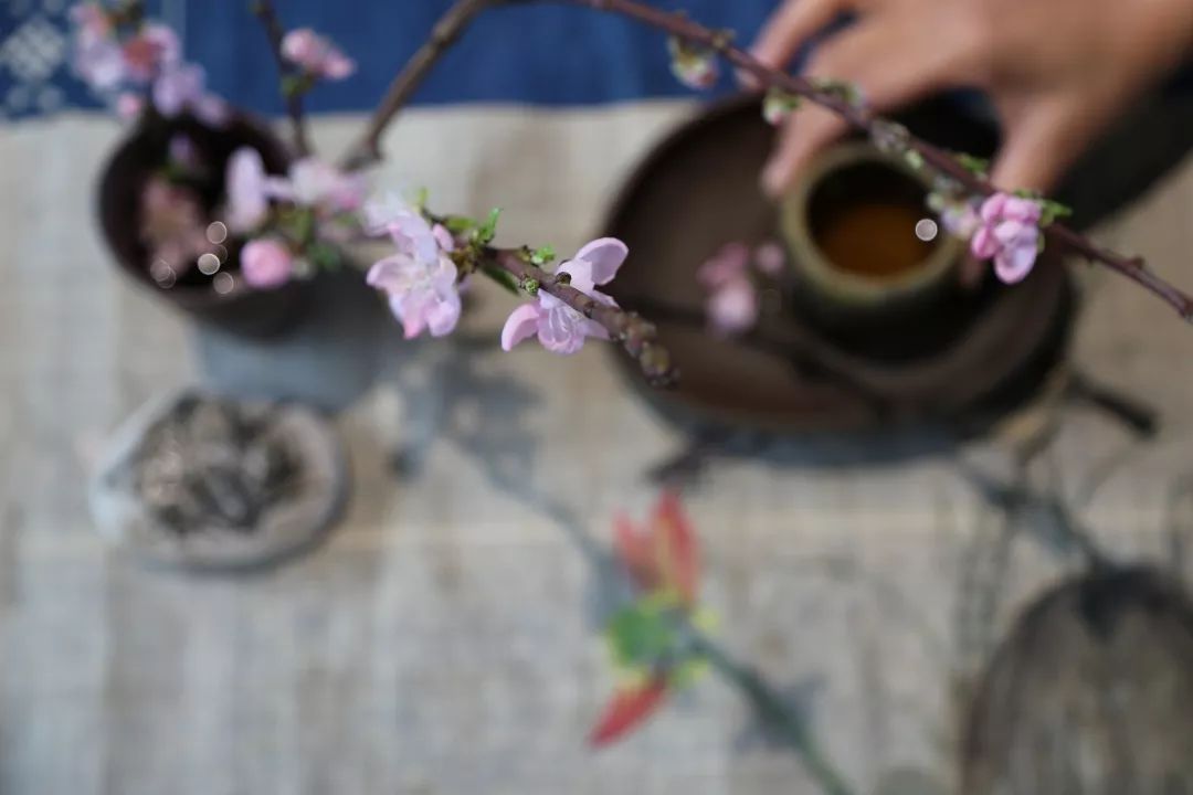 猜成语鸡毛掸子跟一盆花_鸡毛掸子图片