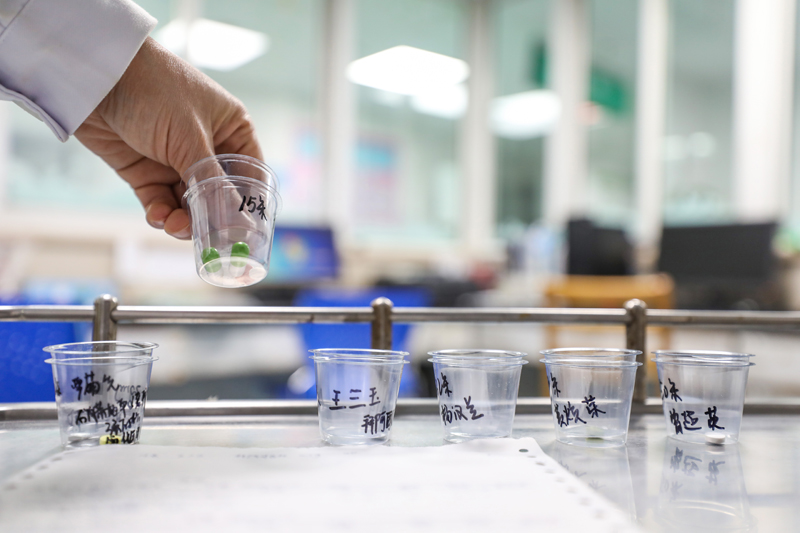 全民战疫｜武汉金银潭医院：医护夫妻以车为家