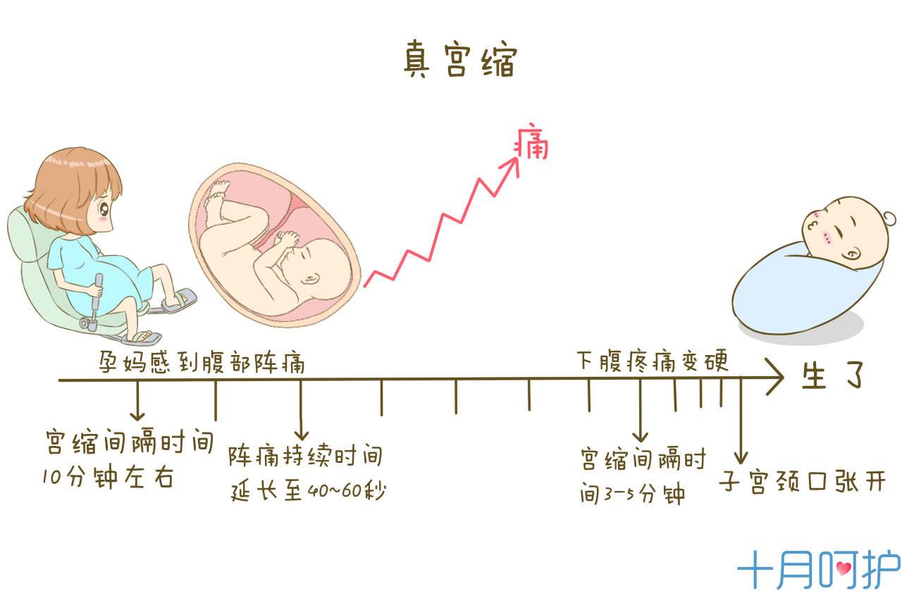 成语什么缩颈_成语故事简笔画