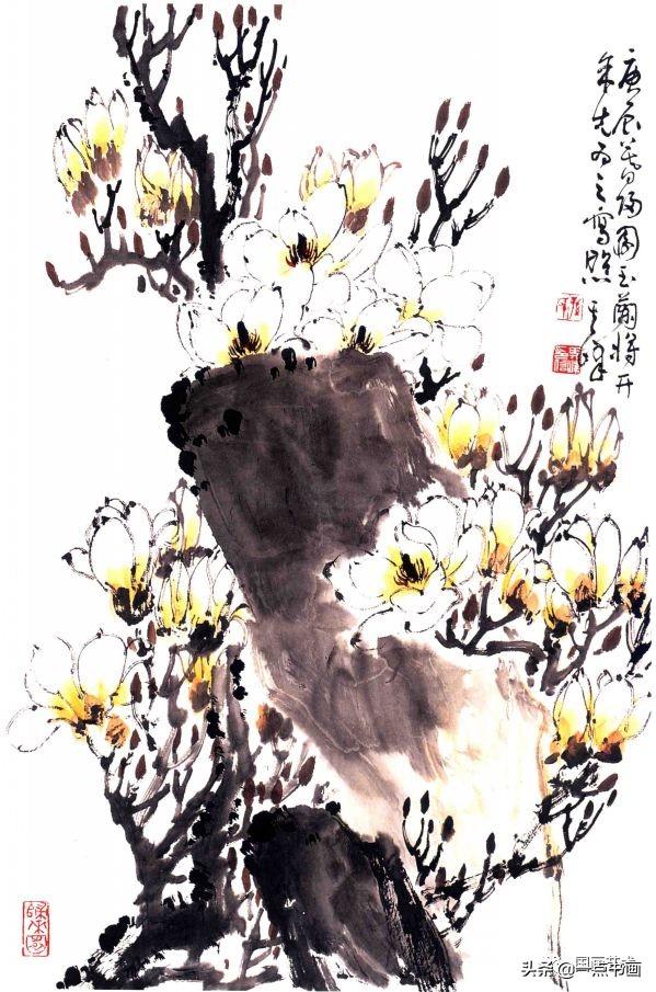 孙其峰 玉兰杨之光 玉兰于希宁 玉兰 扇面白雪石 玉兰小鸟返回搜狐