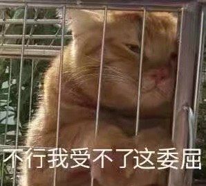 “太难了，查太严了……” 男子潜逃20年，在福